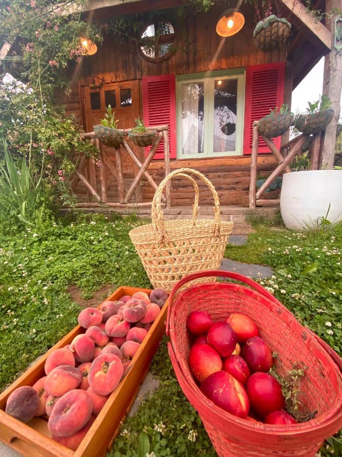 Meena Bagh Ratnari- An Apple Orchard Bungalow Bagi Zewnętrze zdjęcie