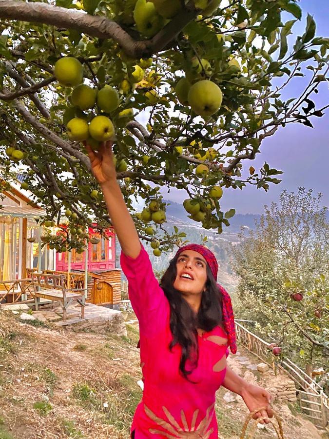 Meena Bagh Ratnari- An Apple Orchard Bungalow Bagi Zewnętrze zdjęcie